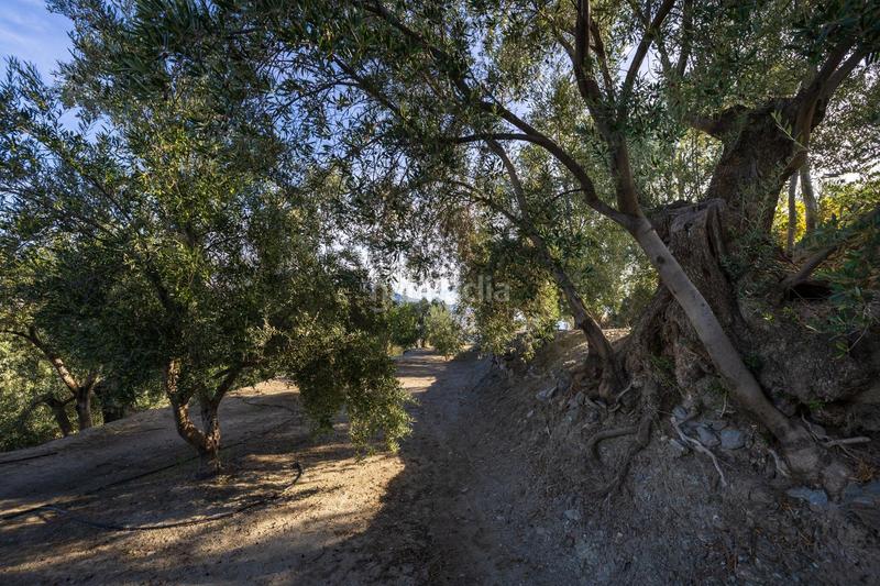 Foto edaea5d8-99c7-4f07-aee5-b571ef06ee35. Finca rústica a Lecrín