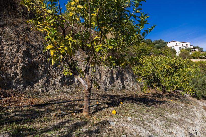 Foto f07678a0-c7f3-4e71-a814-0cfc0852b331. Finca rústica a Lecrín