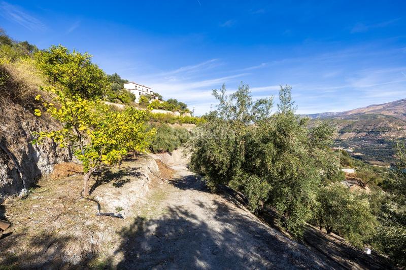 Foto f0ef56ea-65de-463d-8f55-aee810e29b18. Finca rústica a Lecrín