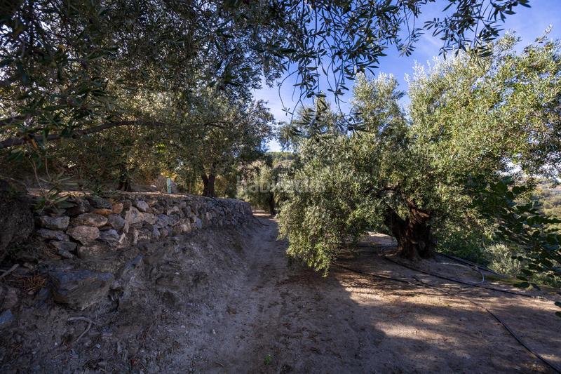 Foto fb6d4a85-f968-436c-a460-65ce884877e9. Finca rústica a Lecrín