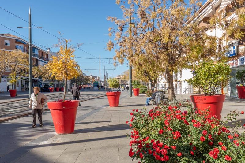 Foto df929c77-ac84-4515-9942-f45f077778e6. Planta baixa a Poniente Armilla