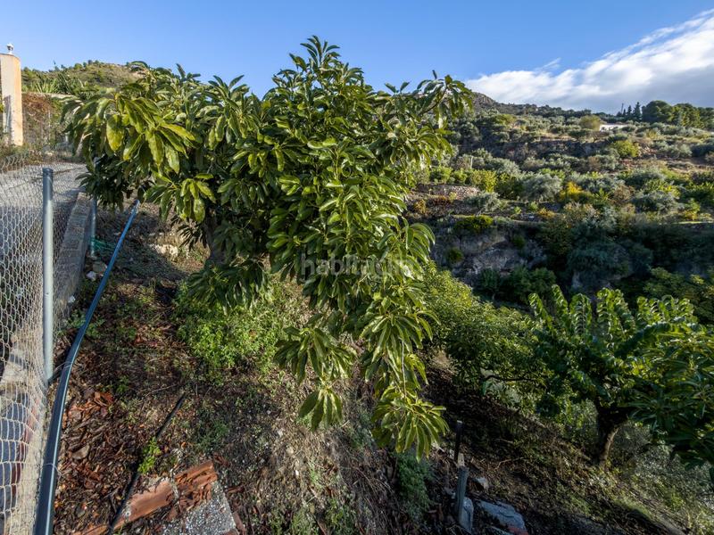 Foto 2e2bc71d-f55f-4aae-8b0c-30f1718dd3d9. Mas dans calle diseminados dans Guájares (Los)