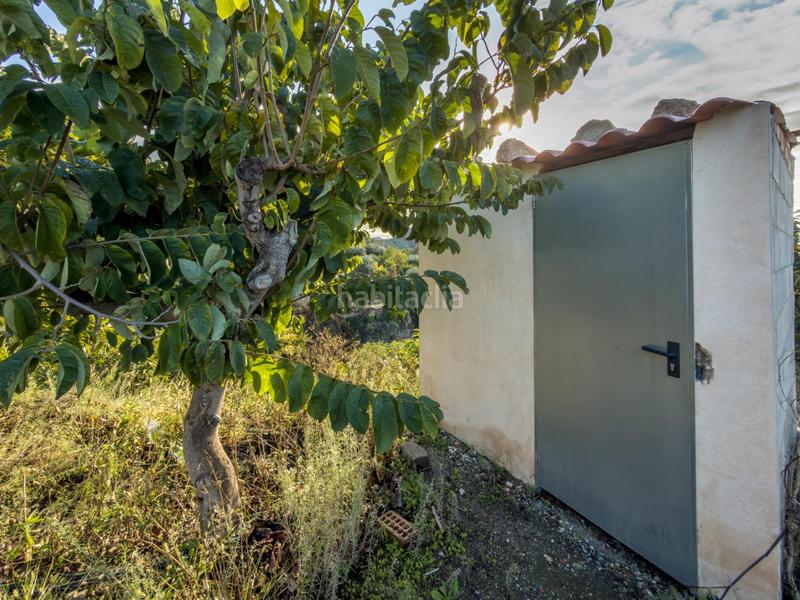 Foto 3f4cba9b-6ddf-405a-a1fc-8b4f87337408. Mas dans calle diseminados dans Guájares (Los)