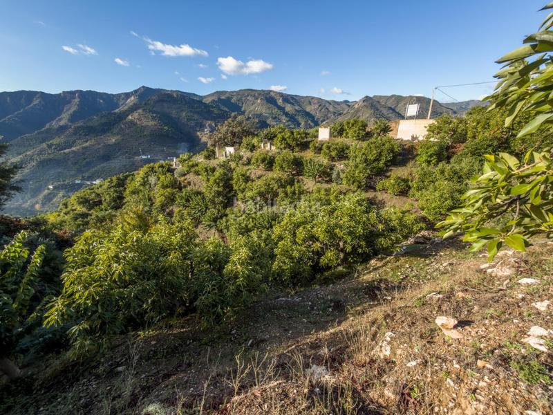 Foto 59d92c73-0ef7-455c-856b-9ea0e37d5e29. Mas dans calle diseminados dans Guájares (Los)