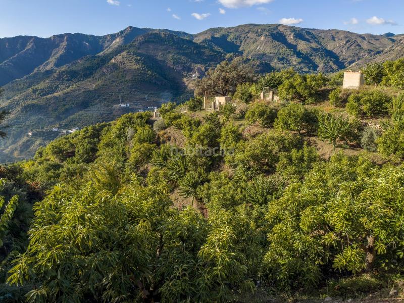 Foto 5c297c6d-f005-420b-951c-4805bb606ae8. Mas dans calle diseminados dans Guájares (Los)