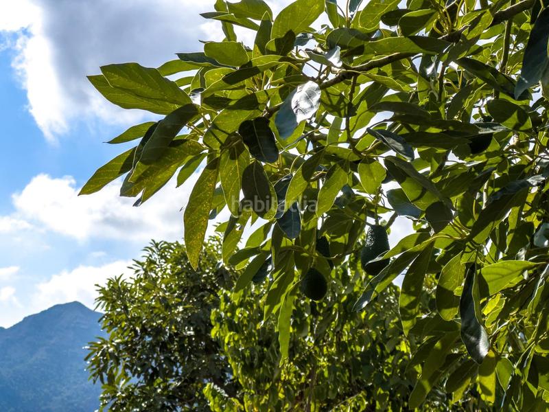 Foto 5dec77d1-b312-43b5-9559-643663c458a7. Mas dans calle diseminados dans Guájares (Los)