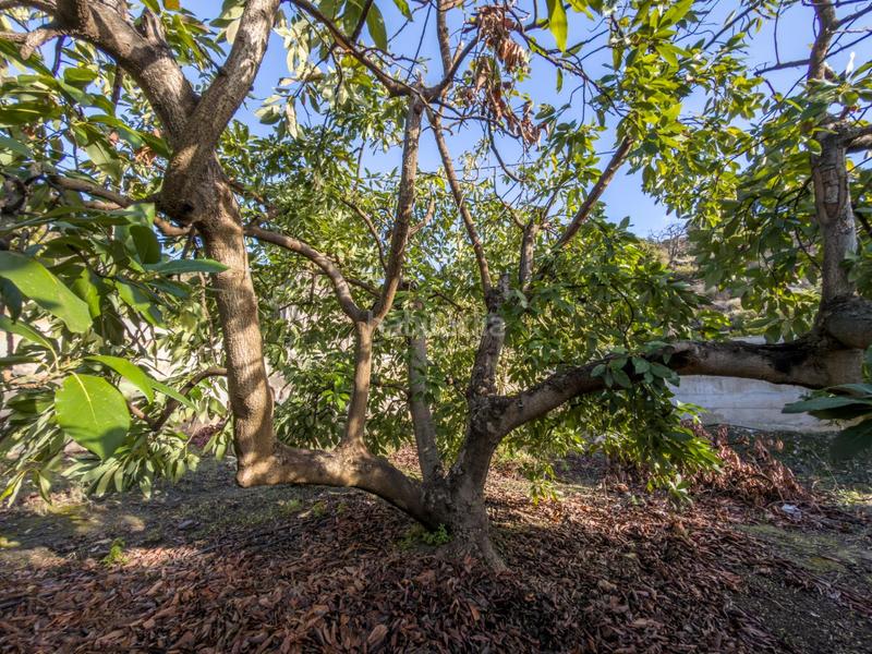 Foto 68d06a1a-35b8-44b4-8420-8a25ff7a03e7. Mas dans calle diseminados dans Guájares (Los)