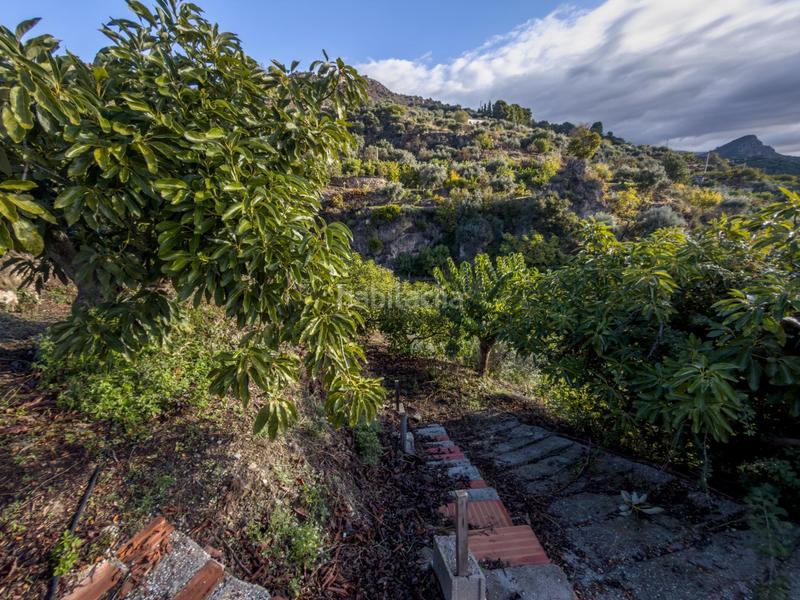 Foto 740ce7b9-7fba-478e-b069-1d3df01b4027. Mas dans calle diseminados dans Guájares (Los)