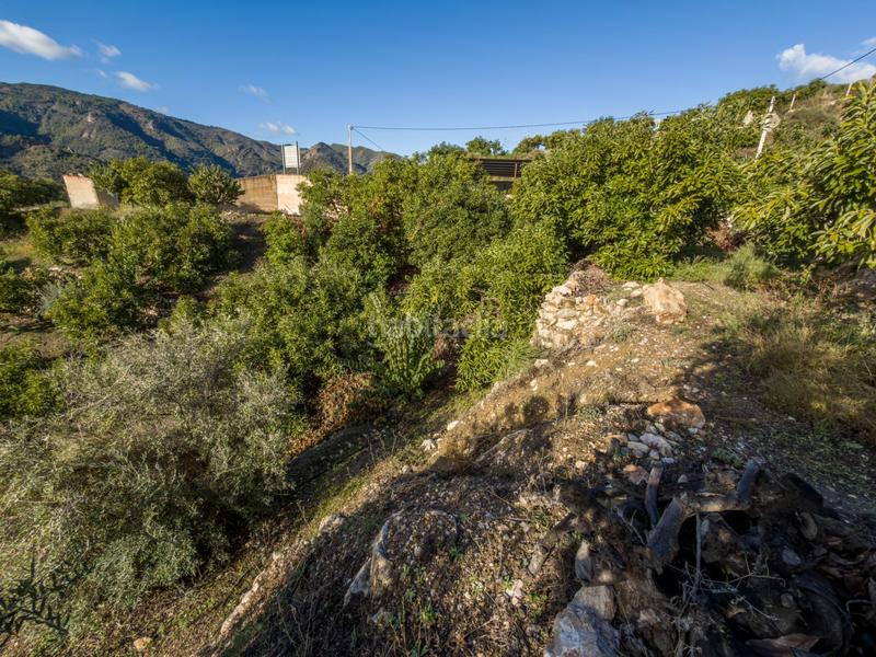 Foto cf1defc0-bd6d-46c0-85f1-77f5499e2128. Mas dans calle diseminados dans Guájares (Los)