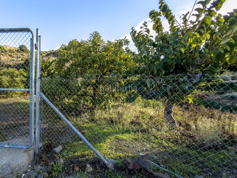 Foto f71db6a0-7b96-45c5-a5a7-8e5e612cda7c. Mas dans calle diseminados dans Guájares (Los)