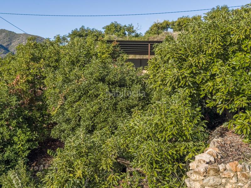 Foto fa96cc0a-def9-4322-8539-4008e378a59d. Mas dans calle diseminados dans Guájares (Los)