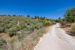 Fondo rustico  Cañadas del tajo. Estupendo terreno rustico