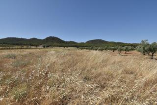 Rural plot in Padul. Finca de 27.715 metros a escasos metros del cajiz de san gregori