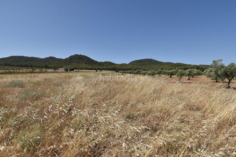 Foto 5053dab7-83ed-429a-9a31-83d05efe3a66. Finca rústica finca de 27.715 metros a escasos metros del cajiz de san gregorio en Padul