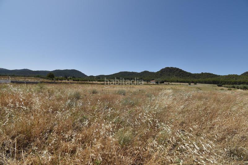 Foto 7e548a87-de09-415d-98e0-d6caeb1af371. Finca rústica finca de 27.715 metros a escasos metros del cajiz de san gregorio en Padul