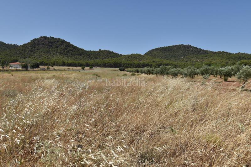 Foto c45825cc-7e22-4a05-95f8-409c29a14df8. Finca rústica finca de 27.715 metros a escasos metros del cajiz de san gregorio en Padul