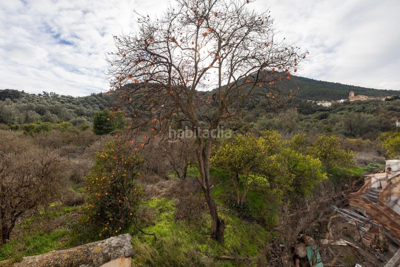 Foto 6095abb3-64b1-4e3d-84d3-de76fd188a9b. Casa a Pinar (El)