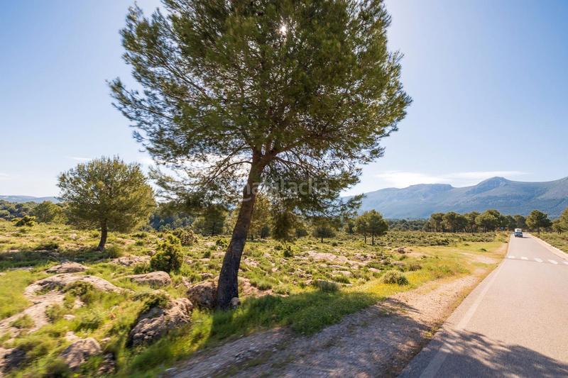 Foto 6f4b2355-032e-4b28-bdf4-6f65918ac235. Finca rústica preciosa parcela ideal para poner una caravana o casa movil, para pasar fines de semana o vacaciones. situada en un entorno maravi en Iznalloz