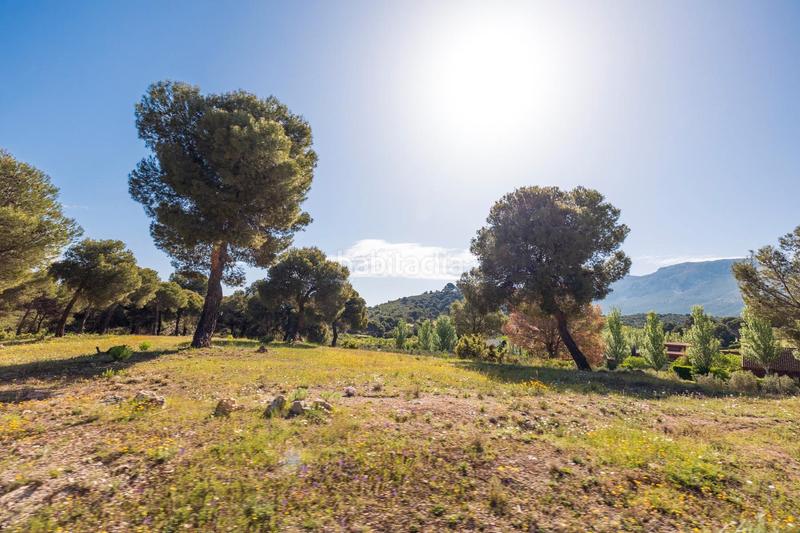 Foto a53421eb-2804-4347-b8f9-ffa18093bafa. Finca rústica preciosa parcela ideal para poner una caravana o casa movil, para pasar fines de semana o vacaciones. situada en un entorno maravi en Iznalloz