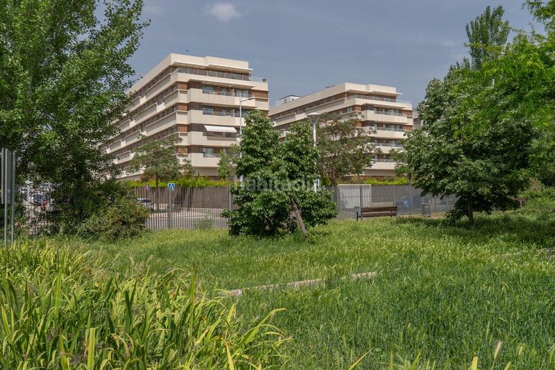 Foto d1999a82-c146-4990-aead-27e9bc06d178. Pis amb calefacció aparcament piscina a Rosaleda - Juventud Granada