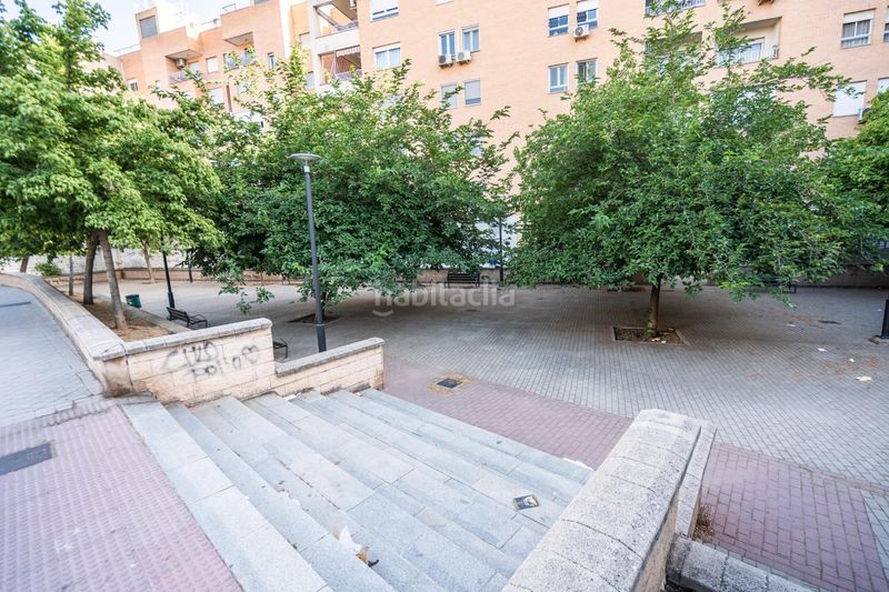 Foto db3d43ab-f1a6-47d9-a206-e1e78656cd2f. Estudi amb calefacció a Angustias - Chana - Encina Granada