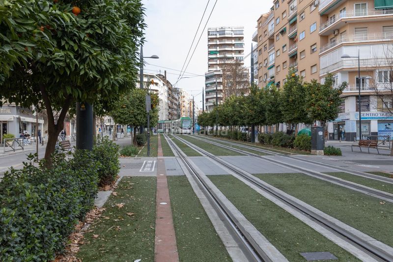 Foto b9b99137-eee6-4940-8652-bccff306a5a8. Pis a Pajaritos Granada