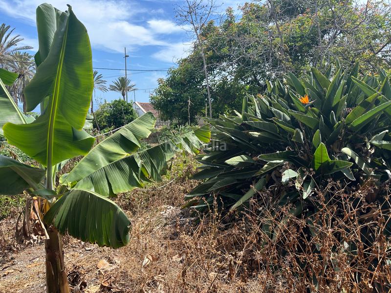 Foto 1e8cae5c-d03b-440c-bce5-f0389a70fec7. Casa amb aparcament a Punta del Hidalgo San Cristóbal de La Laguna