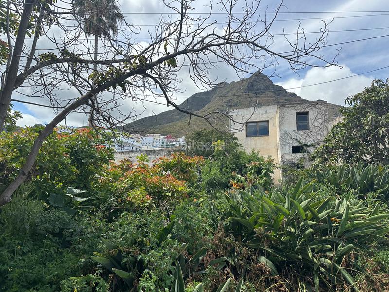 Foto 321d7cb2-65f5-4733-b759-e3ef1e1375f2. Casa amb aparcament a Punta del Hidalgo San Cristóbal de La Laguna