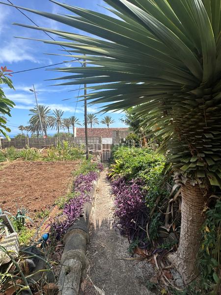 Foto 4c774eff-9385-4293-acf9-75a87dc541df. Casa amb aparcament a Punta del Hidalgo San Cristóbal de La Laguna