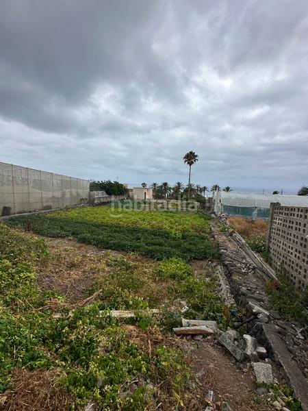 Foto 914a1b32-13b4-4668-b436-b68625031eab. Casa amb aparcament a Punta del Hidalgo San Cristóbal de La Laguna