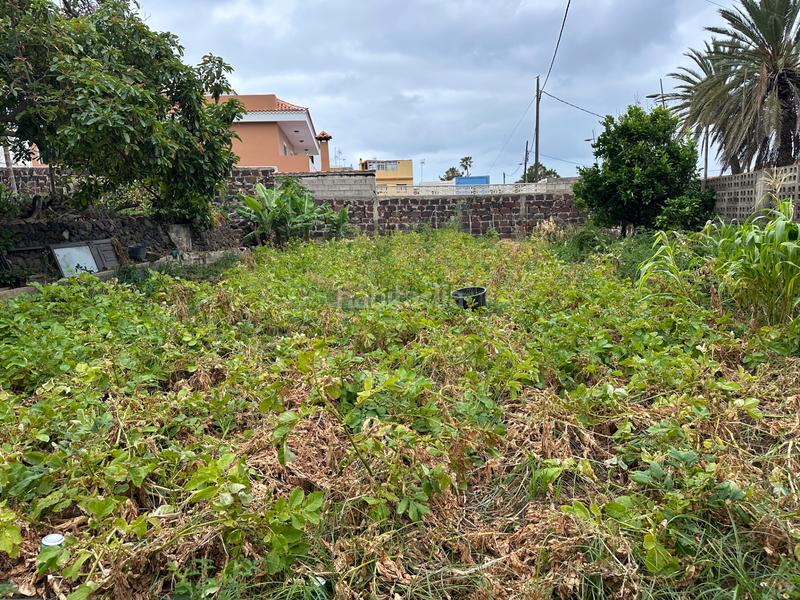 Foto a83c9acd-5ec2-49e2-9a8c-b351da9744dc. Casa amb aparcament a Punta del Hidalgo San Cristóbal de La Laguna