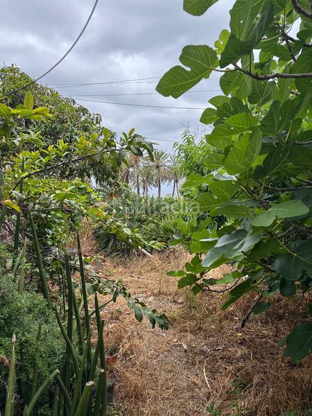 Foto ae865e5b-79ed-40f0-923d-25ec7c53e673. Casa amb aparcament a Punta del Hidalgo San Cristóbal de La Laguna