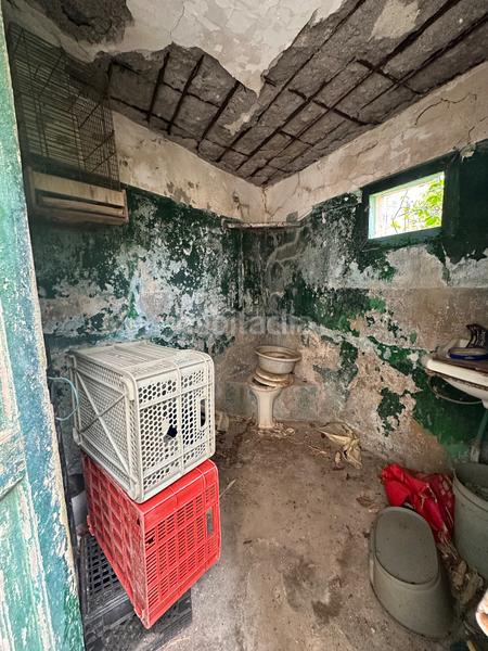 Foto b9892878-f99c-45a3-8b25-470d55959650. Casa amb aparcament a Punta del Hidalgo San Cristóbal de La Laguna