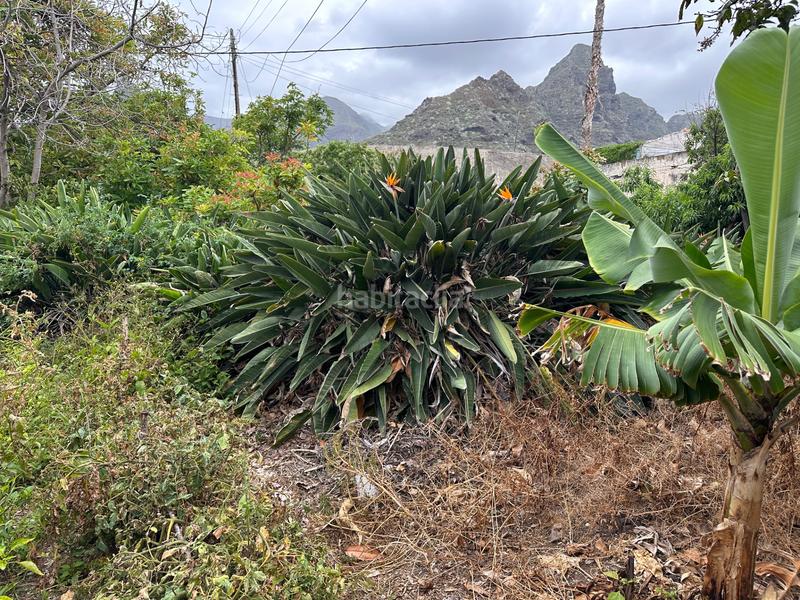 Foto db131a5b-c74b-426e-94ee-3d0a741c5f9e. Casa amb aparcament a Punta del Hidalgo San Cristóbal de La Laguna