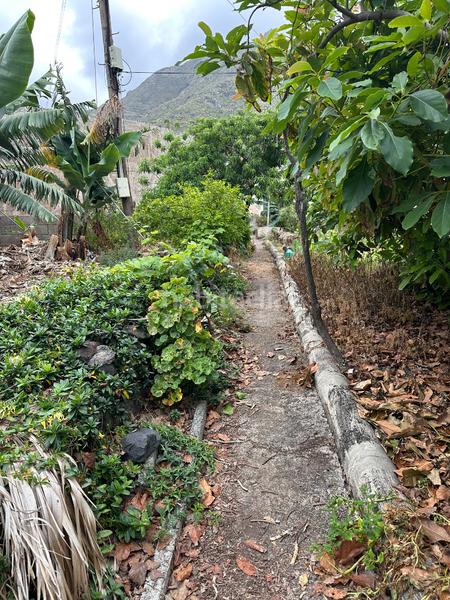 Foto f3c88d41-0b32-4128-a29c-3df653f3c03f. Casa amb aparcament a Punta del Hidalgo San Cristóbal de La Laguna