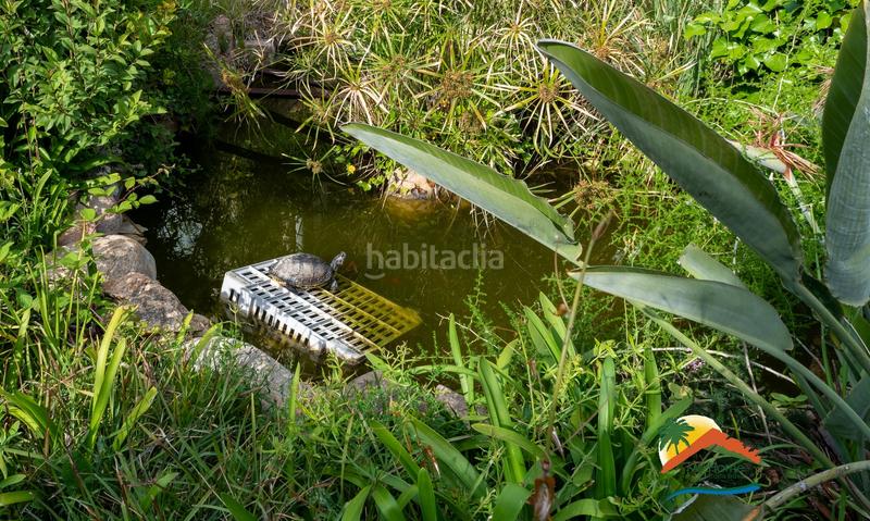 Foto b7b591f3-d824-4e9b-93d9-df5a9d885155. Chalet con camino riscaldamento parcheggio piscina in Lloret de Mar