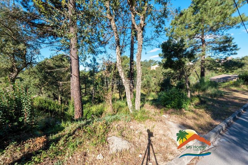 Foto 72253529-251e-4ea9-9589-3da0be82ccf3. Terreno residenziale in Aiguaviva Parc Vidreres