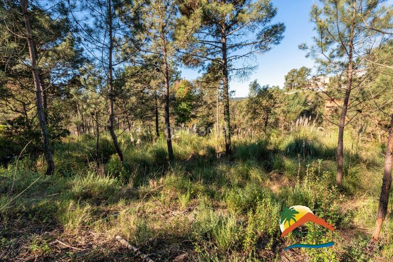 Foto ad5eaa0f-eeab-450f-a2a2-48f4ee47bcf4. Terreno residenziale in Aiguaviva Parc Vidreres