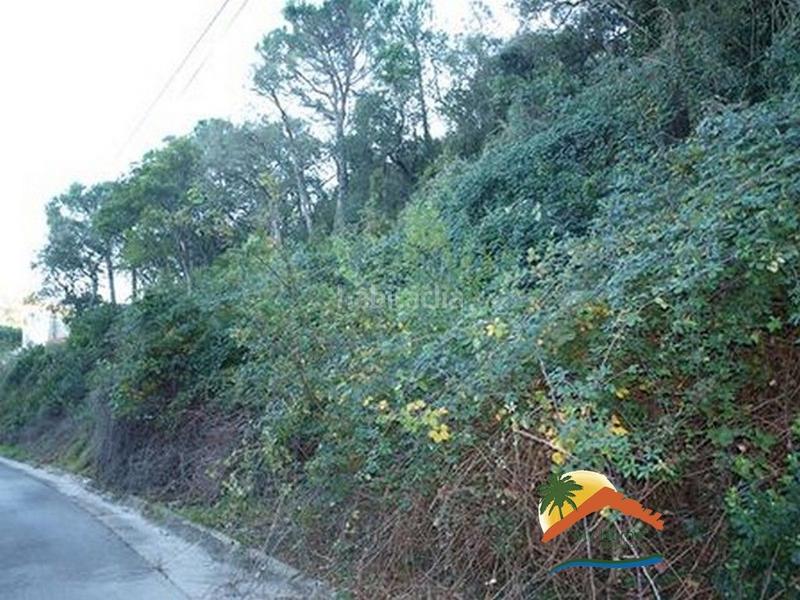 Foto 538a96f1-f8f6-4008-8037-20383dbf82e9. Terreny residencial a Serra Brava Lloret de Mar