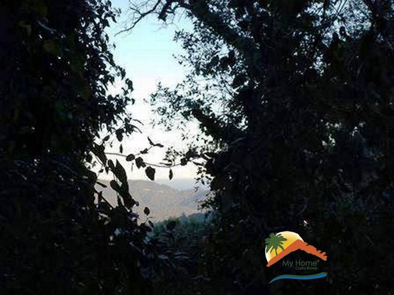 Foto 971b737b-a988-456e-8504-33a96d8fac48. Terreny residencial a Serra Brava Lloret de Mar