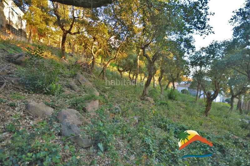 Foto 06ffdacd-924d-4289-adba-ddddb2f7331e. Terreno residenziale in Roca Grossa Lloret de Mar