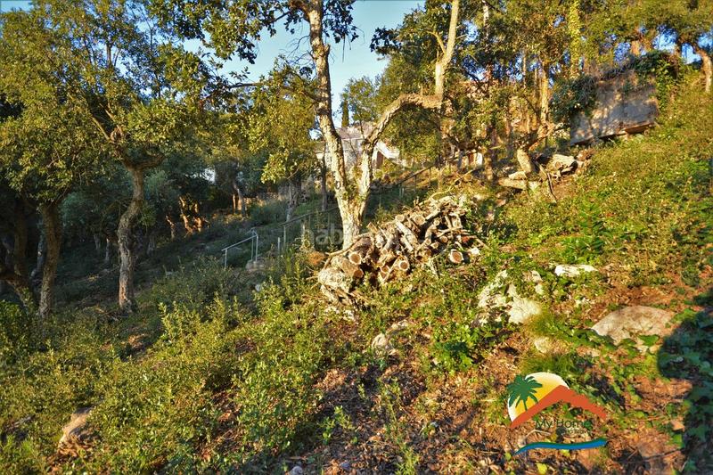 Foto 2b71e7b5-731e-4e05-97b3-04f7e9424081. Terreno residenziale in Roca Grossa Lloret de Mar