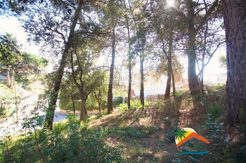 Foto 8bb73bc6-5632-4359-90bb-52fa27e33afa. Terreno residenziale in Roca Grossa Lloret de Mar