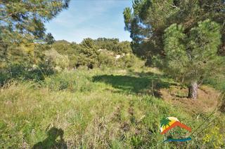 Terreno residencial en Lloret Verd - Els Pinars. Terreno totalmente plano de 930 m2