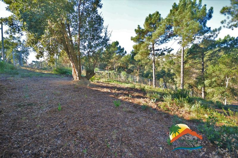 Foto b33e5015-81cd-4b30-928e-2c295474751e. Terreno residenziale in Lloret Blau - La Creu de Lloret Lloret de Mar