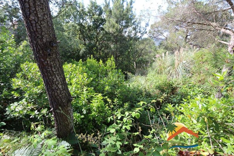 Foto 607d694f-e8b0-4f46-a4d9-f1fdcc1389f2. Terrain résidentiel dans Serra Brava Lloret de Mar