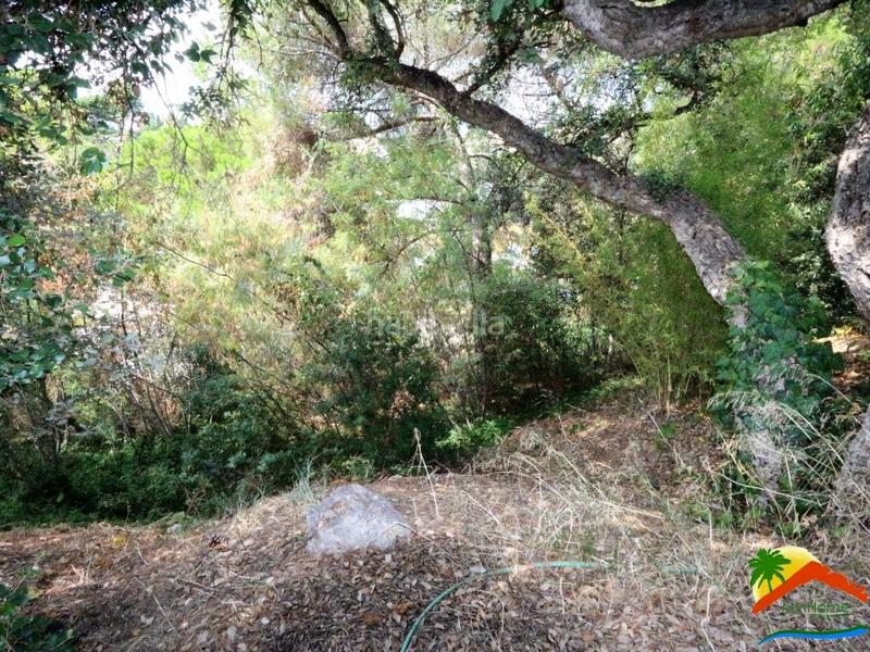 Foto 309a979a-b0d2-4ac0-827e-177de1ac4299. Terrain résidentiel dans Roca Grossa Lloret de Mar
