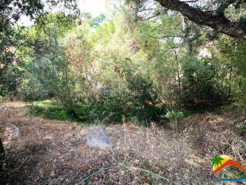 Foto 9e25676a-9c26-4acd-a6c2-5893ebe76bf6. Terrain résidentiel dans Roca Grossa Lloret de Mar