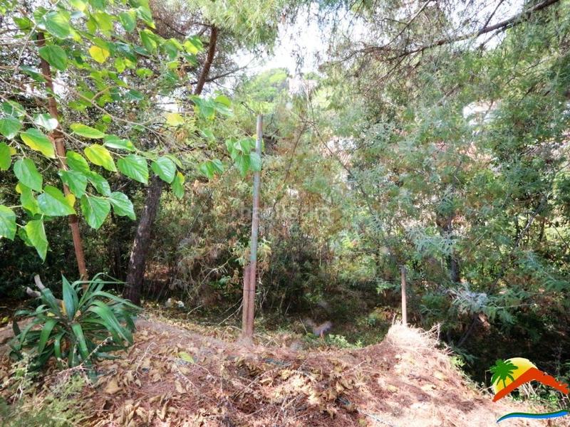 Foto b8141527-65bd-4fbb-9f45-52b5b2355e1b. Terrain résidentiel dans Roca Grossa Lloret de Mar