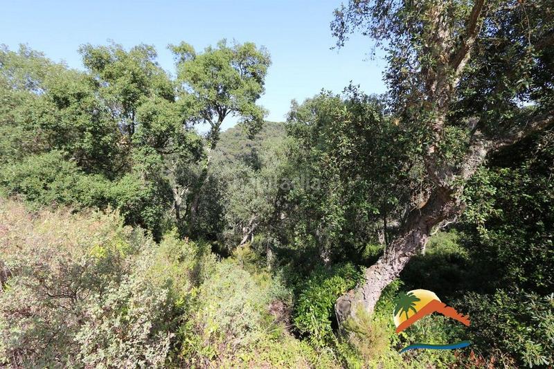 Foto d332e8e3-3d28-42be-a91b-f9d8da26fb78. Terrain résidentiel dans Serra Brava Lloret de Mar